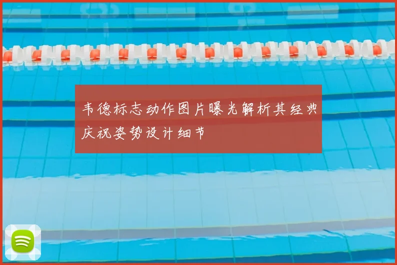 韦德标志动作图片曝光解析其经典庆祝姿势设计细节