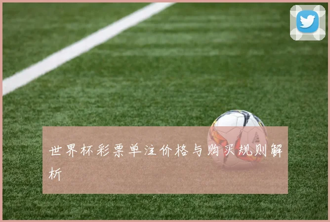 世界杯彩票单注价格与购买规则解析