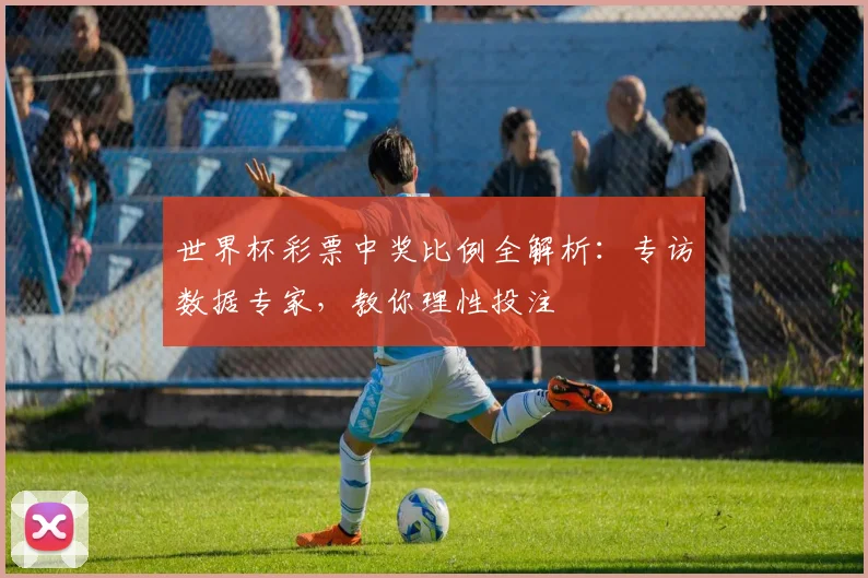 世界杯彩票中奖比例全解析：专访数据专家，教你理性投注