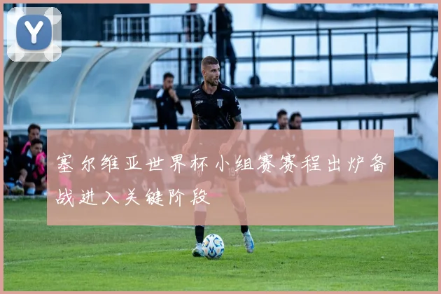 塞尔维亚世界杯小组赛赛程出炉备战进入关键阶段