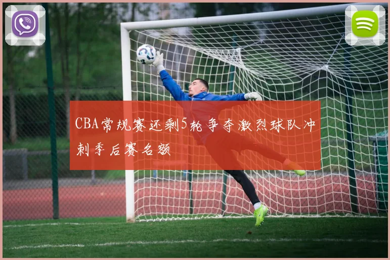 CBA常规赛还剩5轮争夺激烈球队冲刺季后赛名额