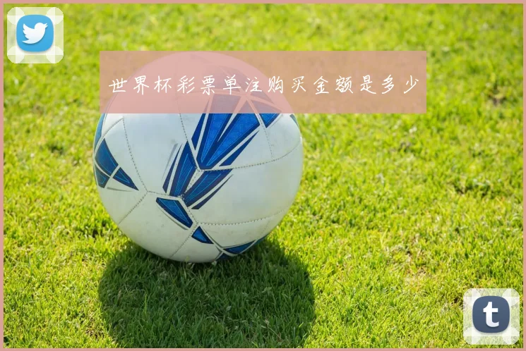 世界杯彩票单注购买金额是多少