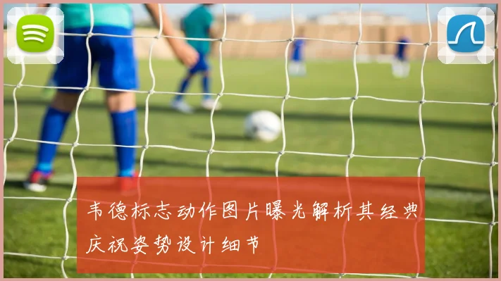 韦德标志动作图片曝光解析其经典庆祝姿势设计细节