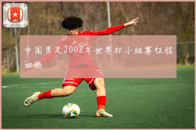 中国男足2002年世界杯小组赛征程回顾