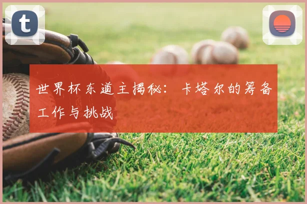世界杯东道主揭秘：卡塔尔的筹备工作与挑战