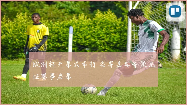 欧洲杯开幕式举行 各界嘉宾齐聚见证赛事启幕