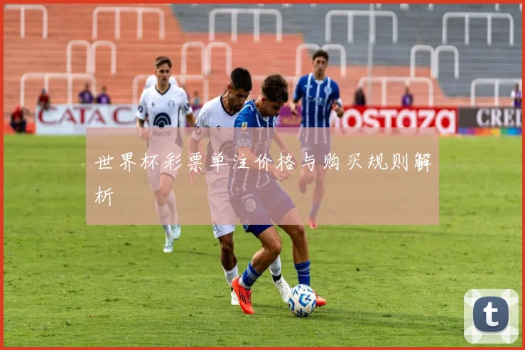 世界杯彩票单注价格与购买规则解析