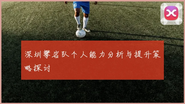深圳攀岩队个人能力分析与提升策略探讨
