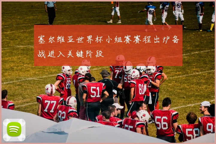 塞尔维亚世界杯小组赛赛程出炉备战进入关键阶段
